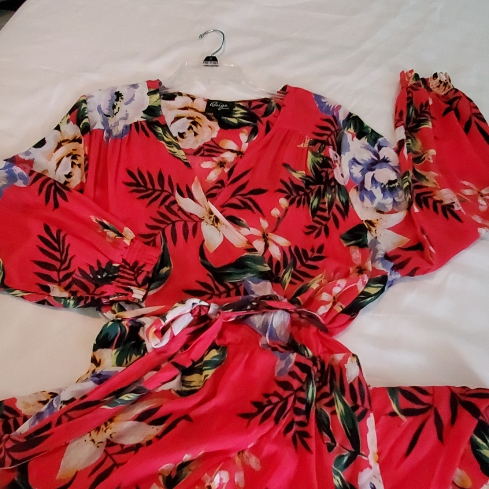 EUC Stunning hi-low Dress